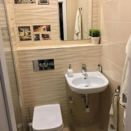 Evergreen * ソフィア