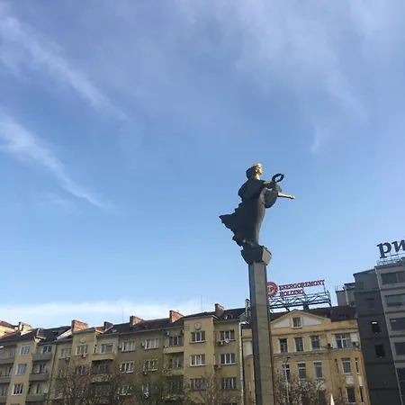 Evergreen ソフィア