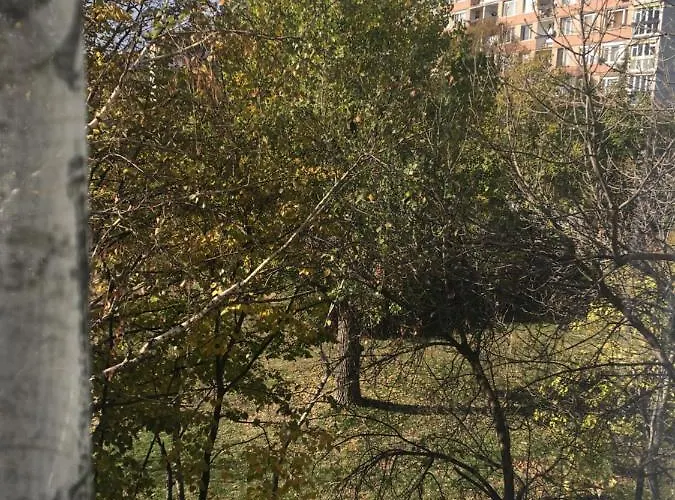 Evergreen Apartment Sofia